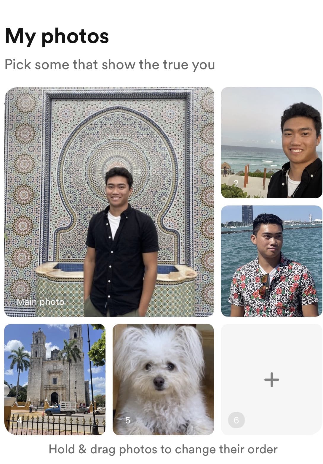 Justin's original dating profile: a distant shot in front of a patterned tile wall, two beach selfies, a church photo with nobody in it, and a photo of only his dog